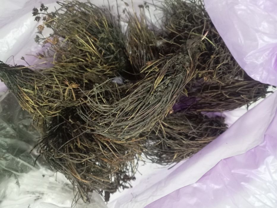 Красную щётку свежая сухая