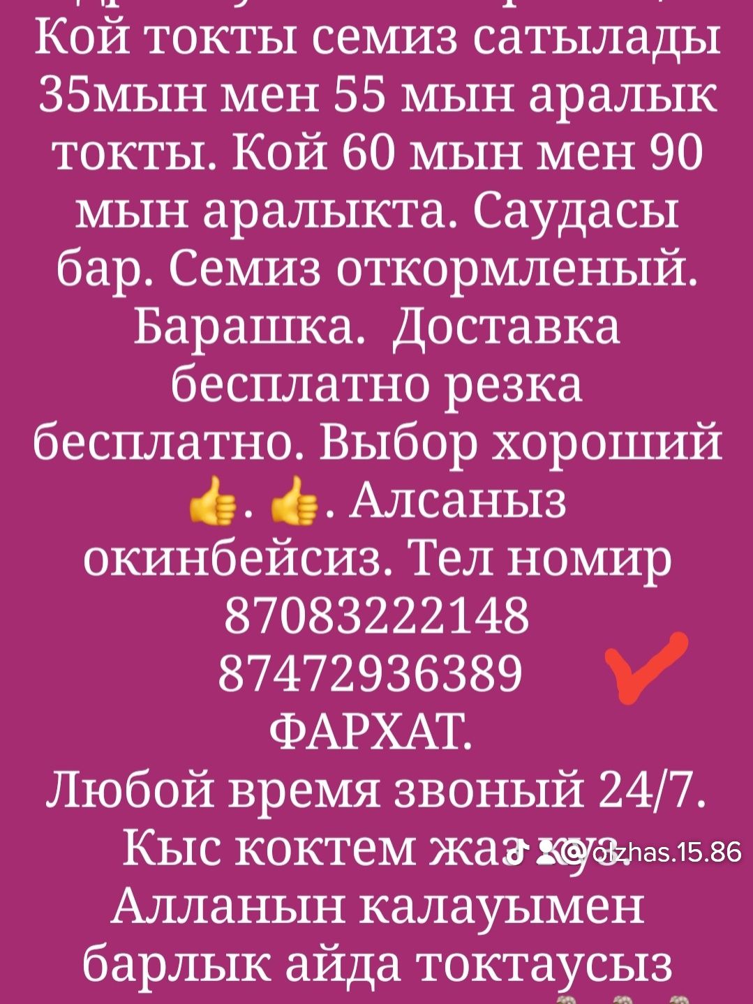 Кой Бараны токтушки продаётся 35000тысч г Алматы Доставка бесплатно р