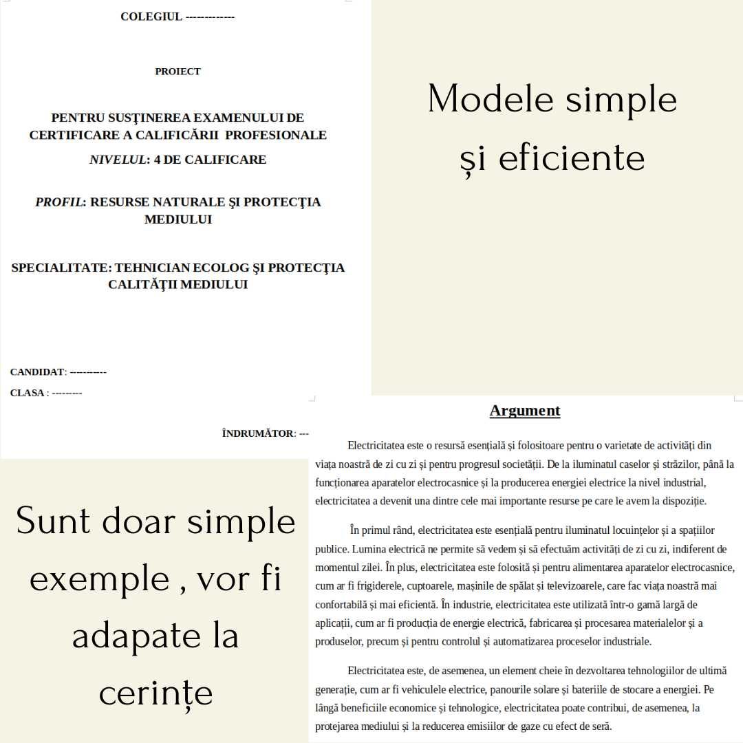Atestat pentru liceu - orice tema - predare aceeasi zi
