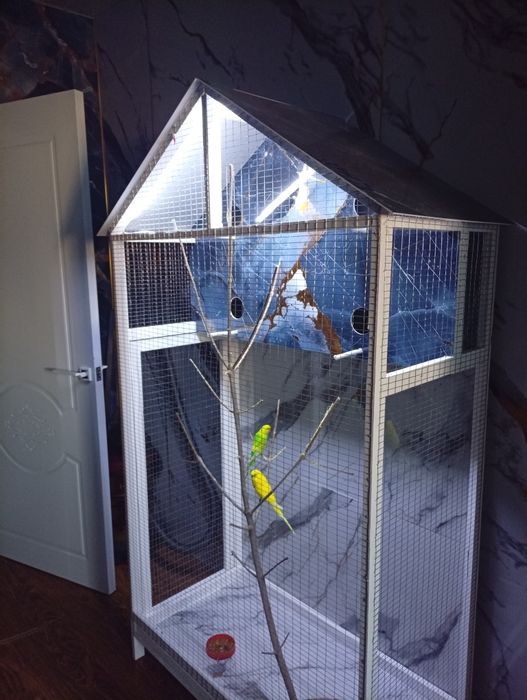 Волнистые попугайчики 2 пары с клеткой