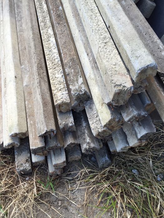 Spalieri stâlpi vie sau gard