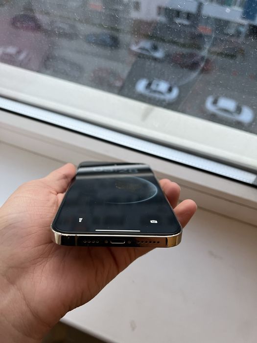 iPhone 12 Pro Max 256GB