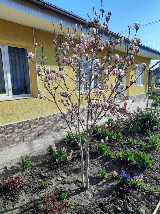 Casa de vanzare, fara  schimb!