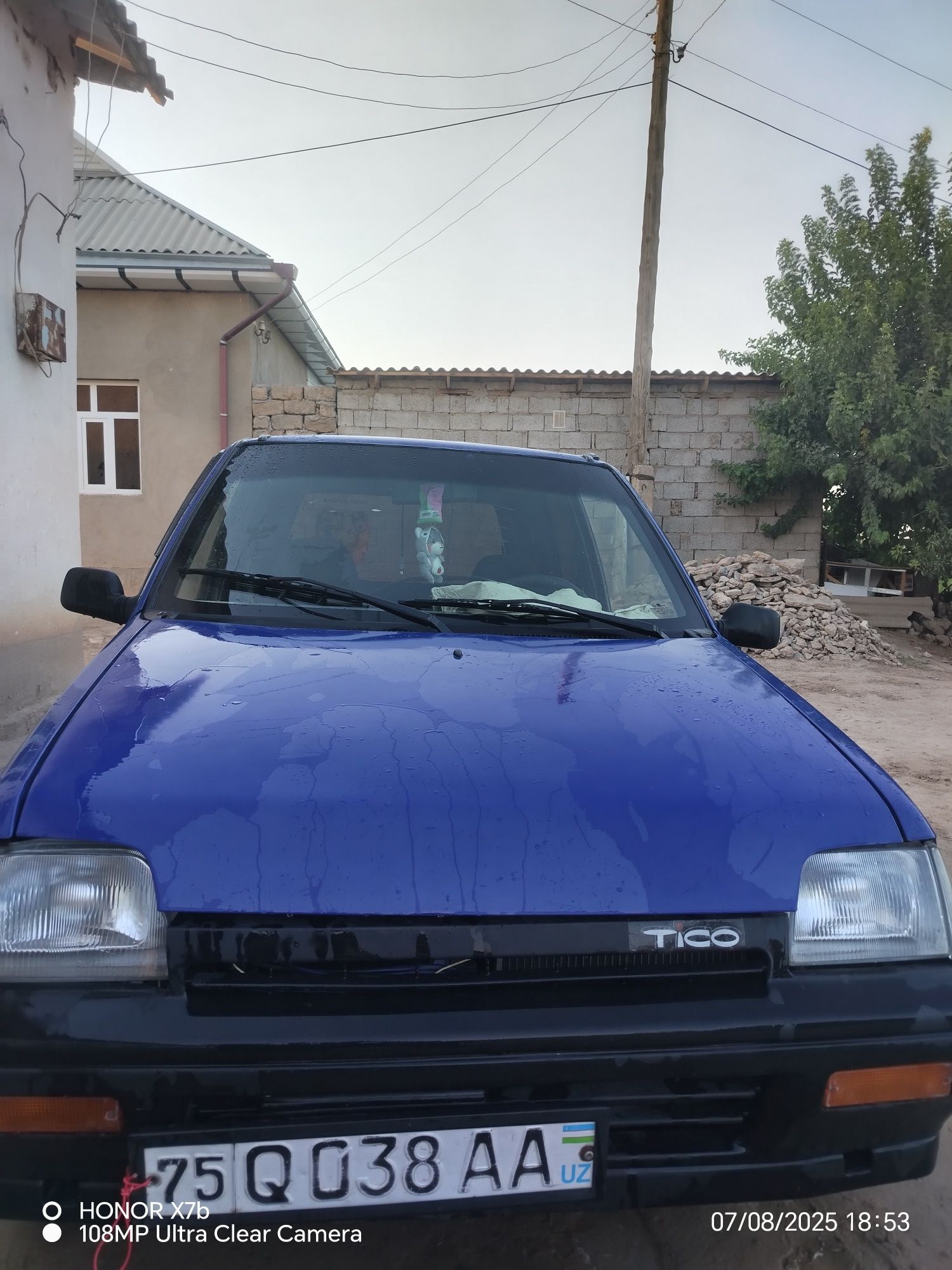 Tico xamma joyi juda guzal xolatda kami yuq
