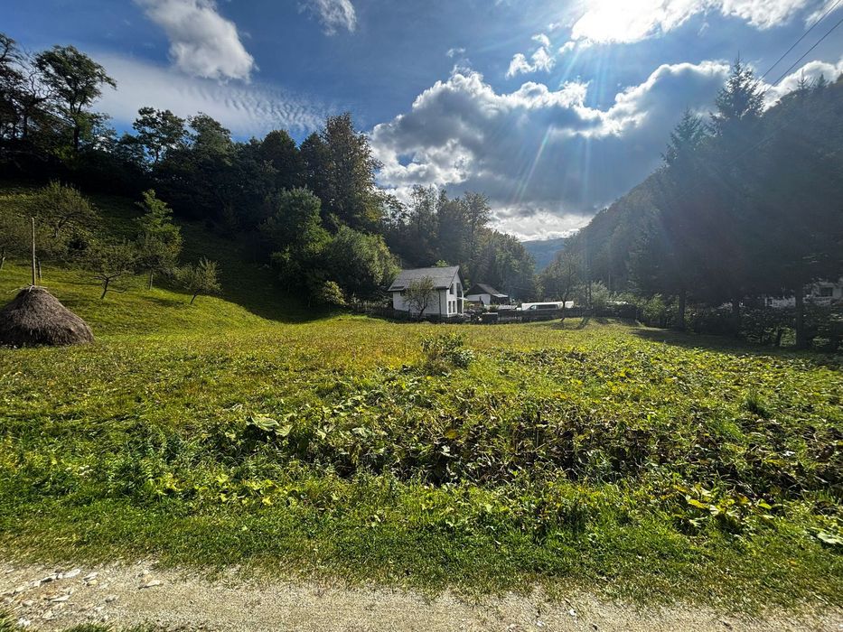 Teren intravilan 2500mp