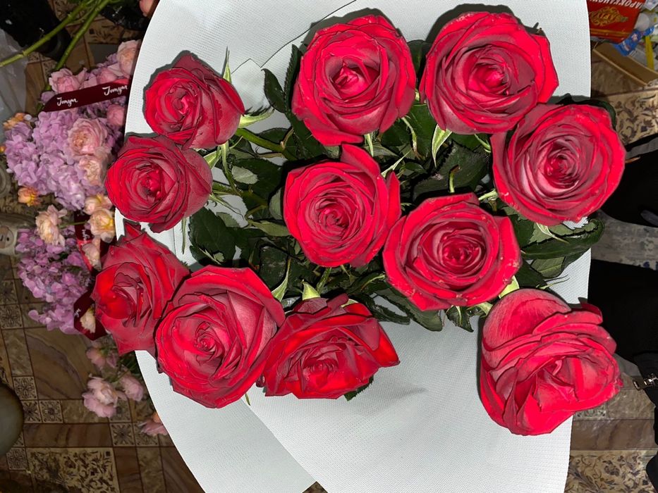 Срочна сатам гүл 10к метр