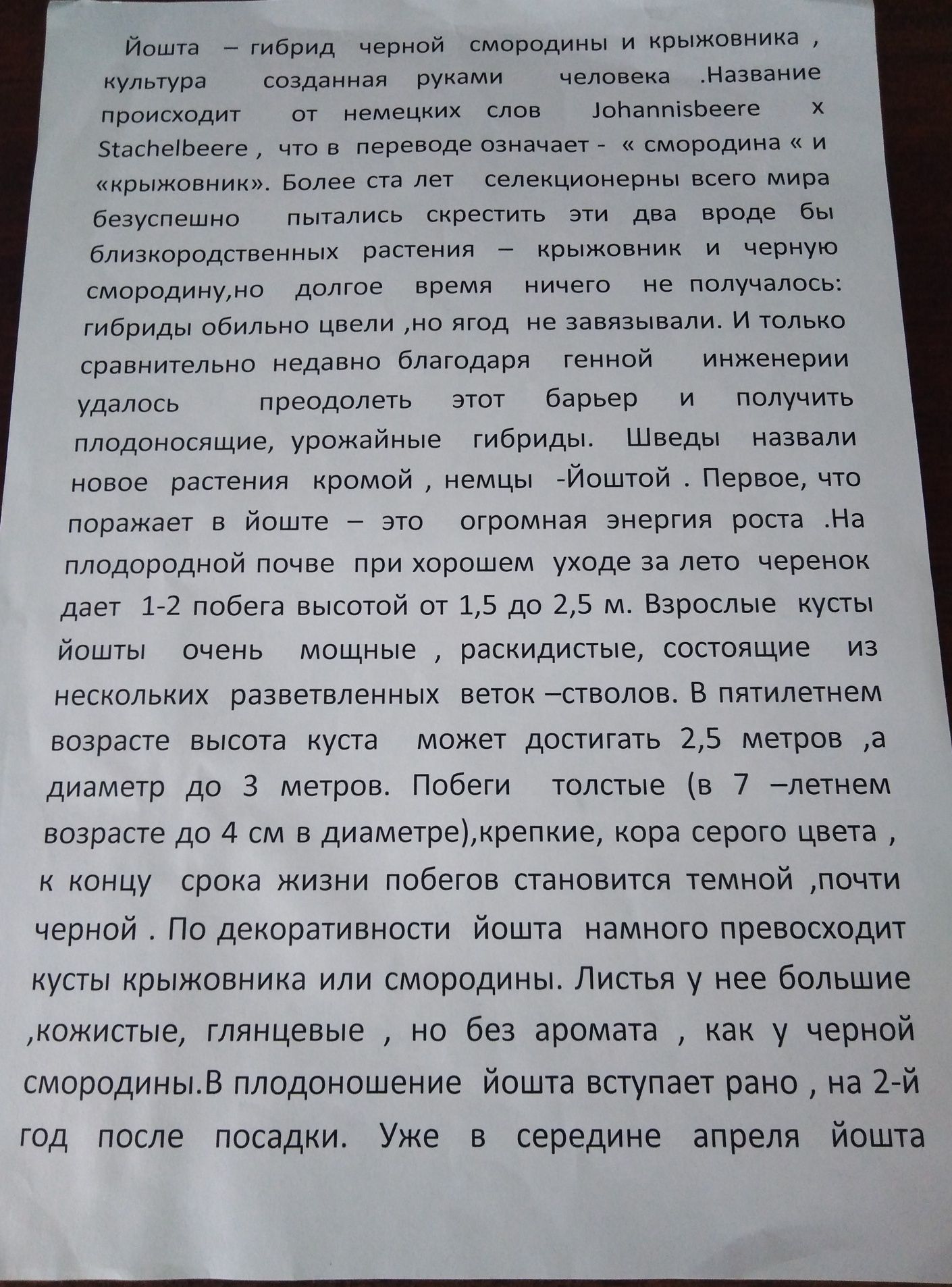 Продам саженцы  смородина черная сорт. Йошта садовая