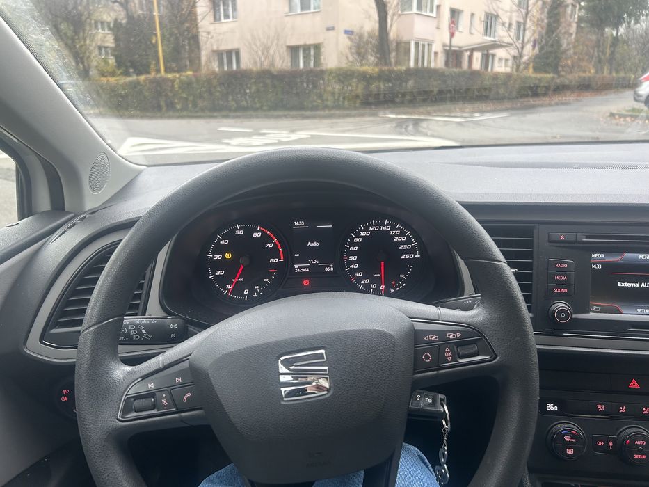 Seat Leon ianuarie 2015