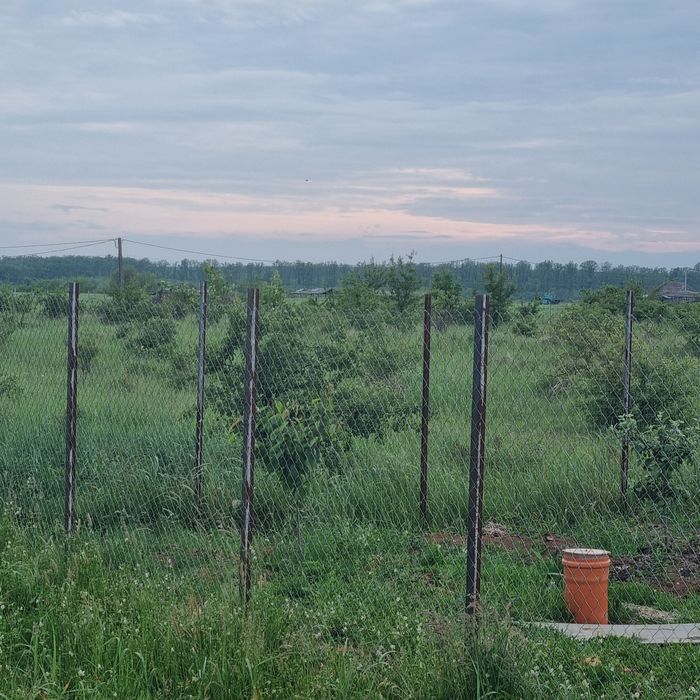 Vând teren intravilan cu Cabană din structură ușoară in Loc. Păușa BH