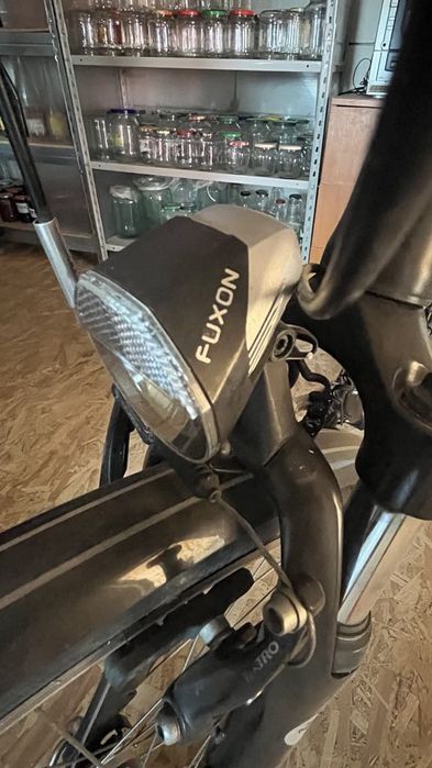 Vand bicicleta Pegasus