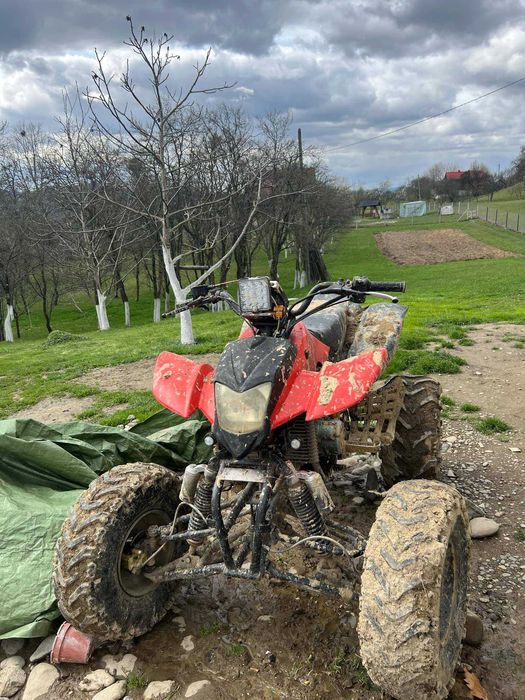 Vând bashan de 250