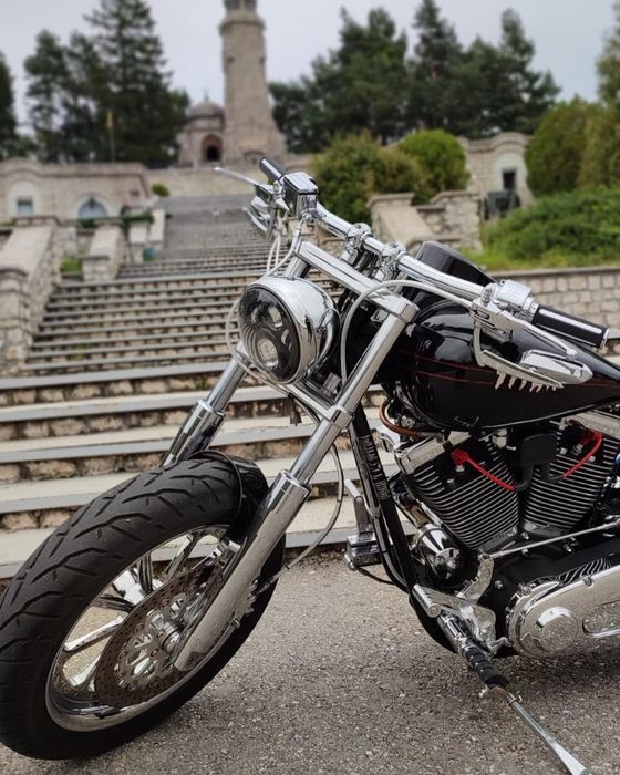 Titan RoadRunner (Harley Davidson Softail)