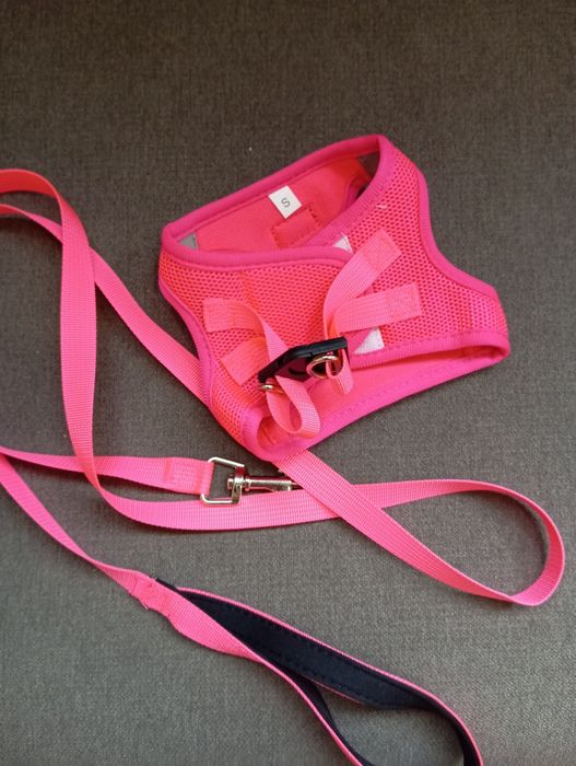 Един лот - Дрешки за куче