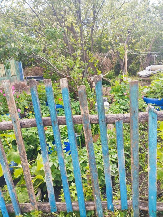Продам дом с. Викторовка рассматриваем обмен на машину, скот. Подробно