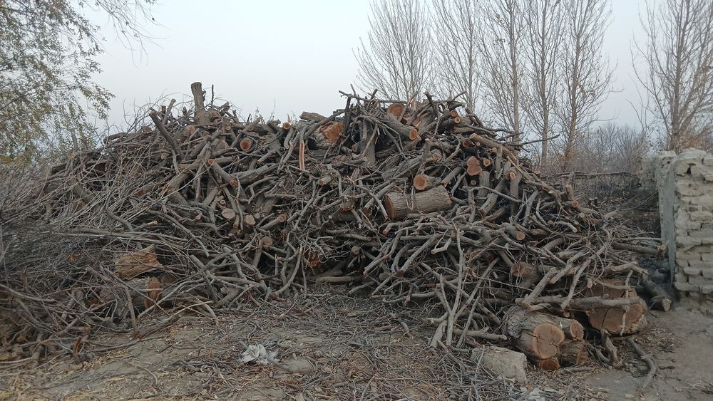 Oʻtin sotiladi tez va arzon