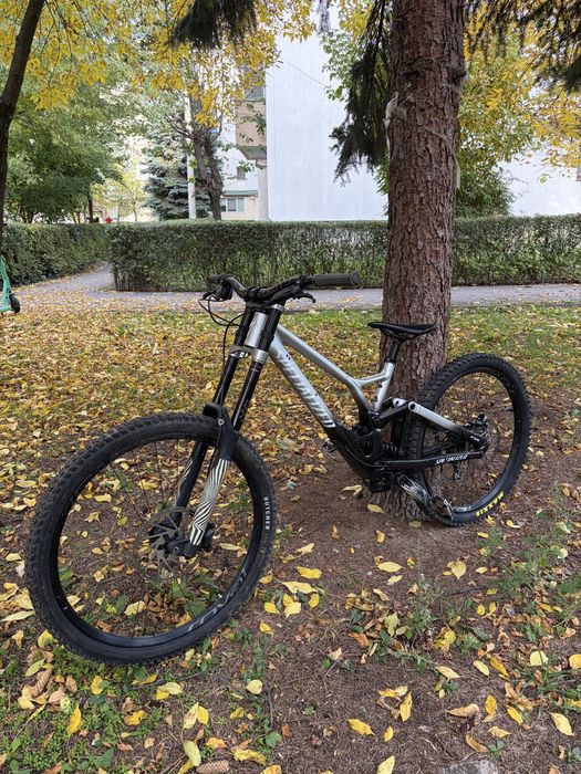 Specialized demo expert