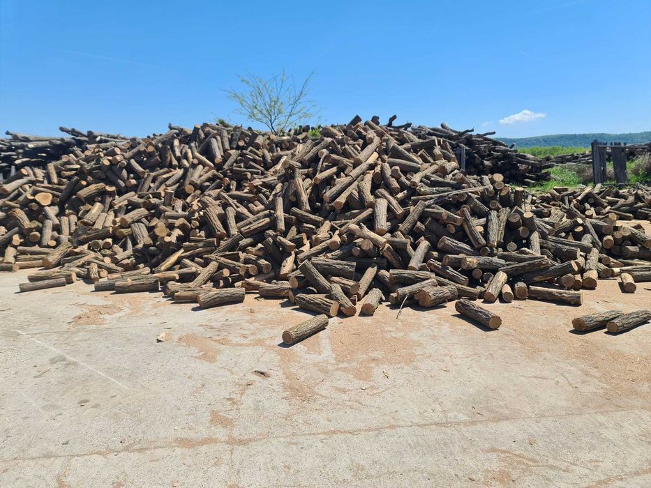 Lemne de foc taiate paletizate esenta tare