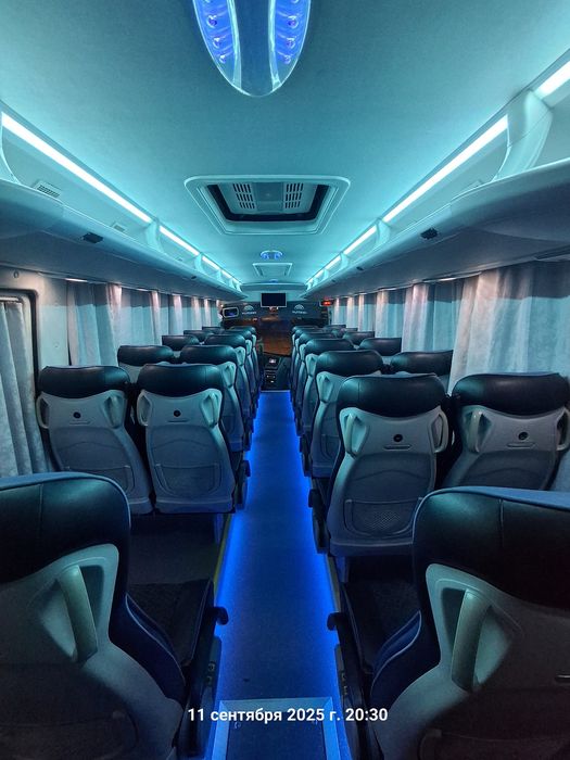 Yutong karatish 31+1