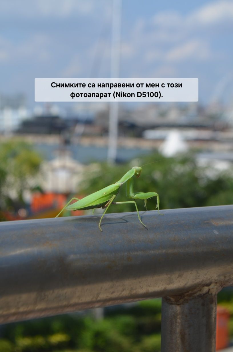 Фотоапарат Nikon D5100 с обектив 18-55mm + зарядно + батерия + карта