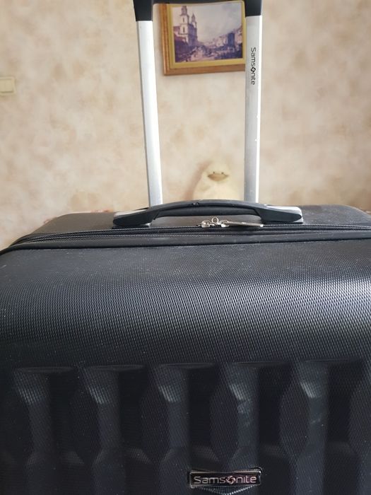 Samsunate- оригинален пътнически куфар