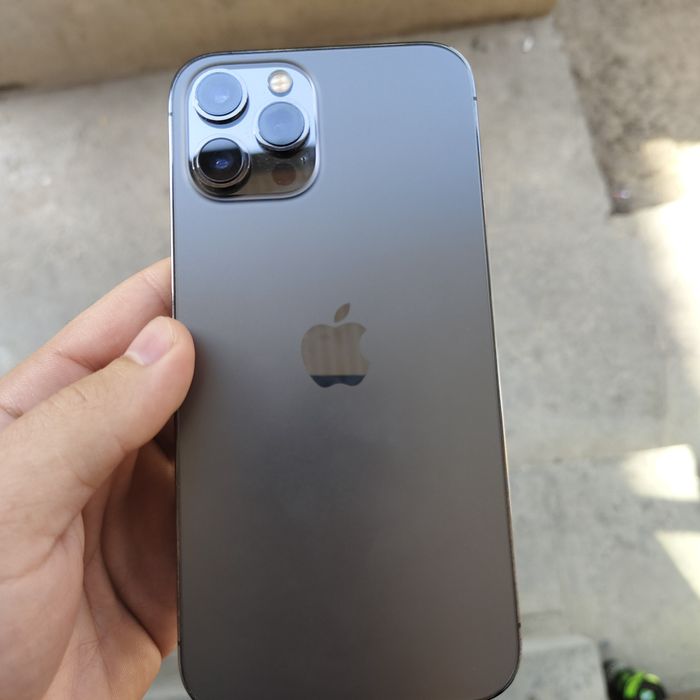 iPhone 12 pro max