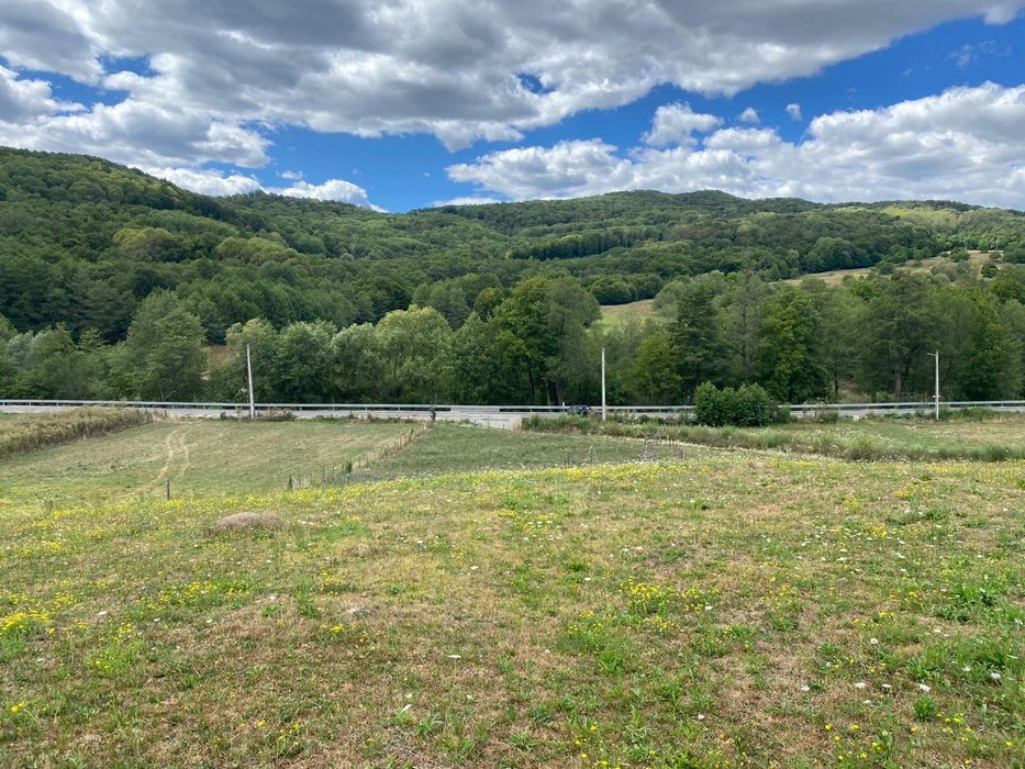 Vand teren Draghici !