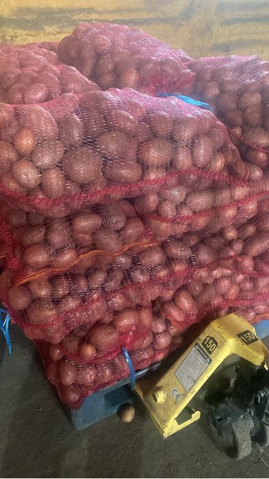 Cartofi de consum galbenii si rosi