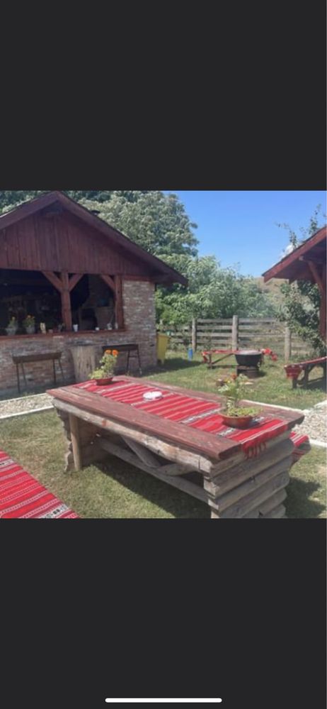 Proprietar vand casa si afacere pensiune