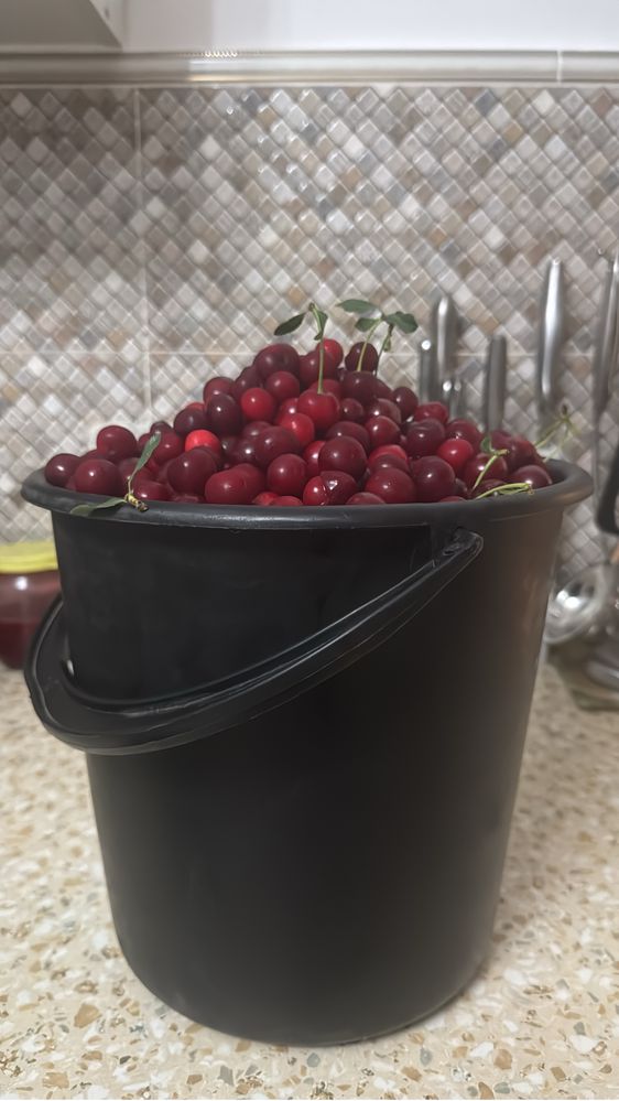 Продам вишню дачную