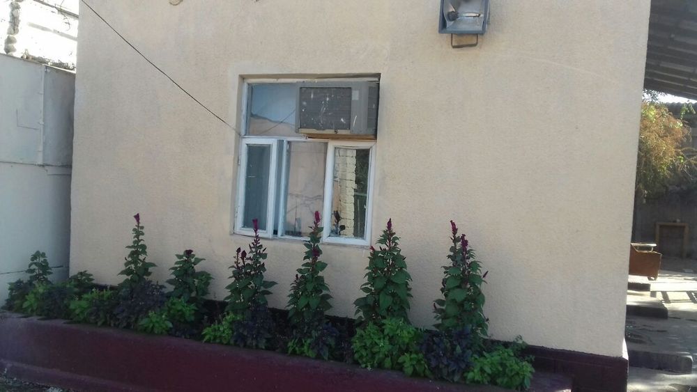 Yer sotiladi srochno 65 sotix