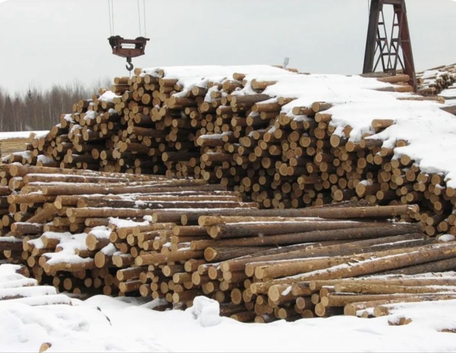 Жерди / Кругляк для ограждения — оптом и в розницу — Доставка в Шу