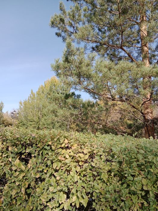 Экскурсии Excurition  г. Астана и загородом