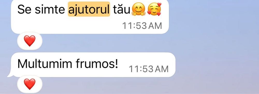 Meditații la Limba şi Literatura Română