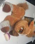 Vand ponei Toffee