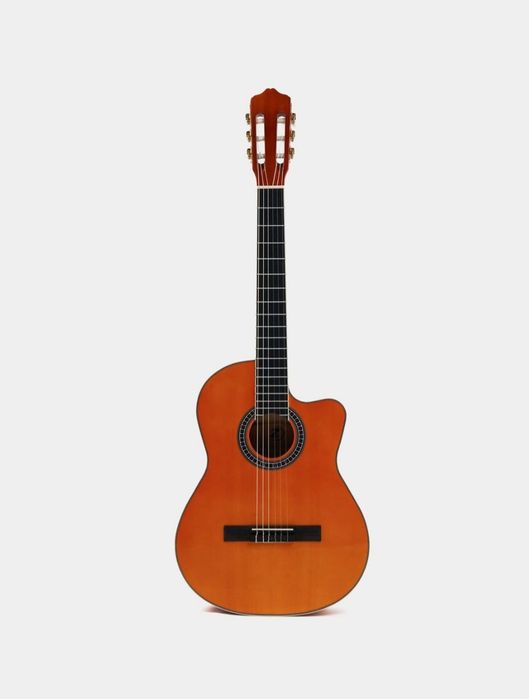 Diveser L320 gitara