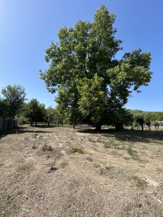 Casă și teren 1400 mp – Sat Retevoiești, Pietroșani, Argeș