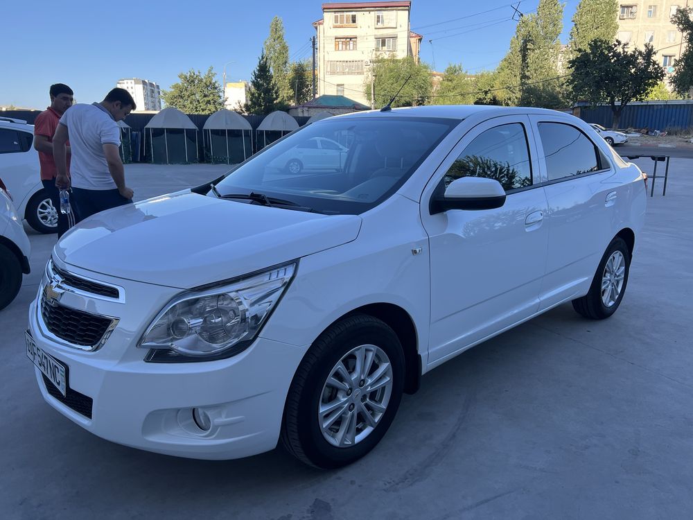 Arenda Cobolt ideal