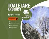 Toaletare Tăiere Copaci Pomi - Servicii Firma Alpiniști Cisnădie Sibiu