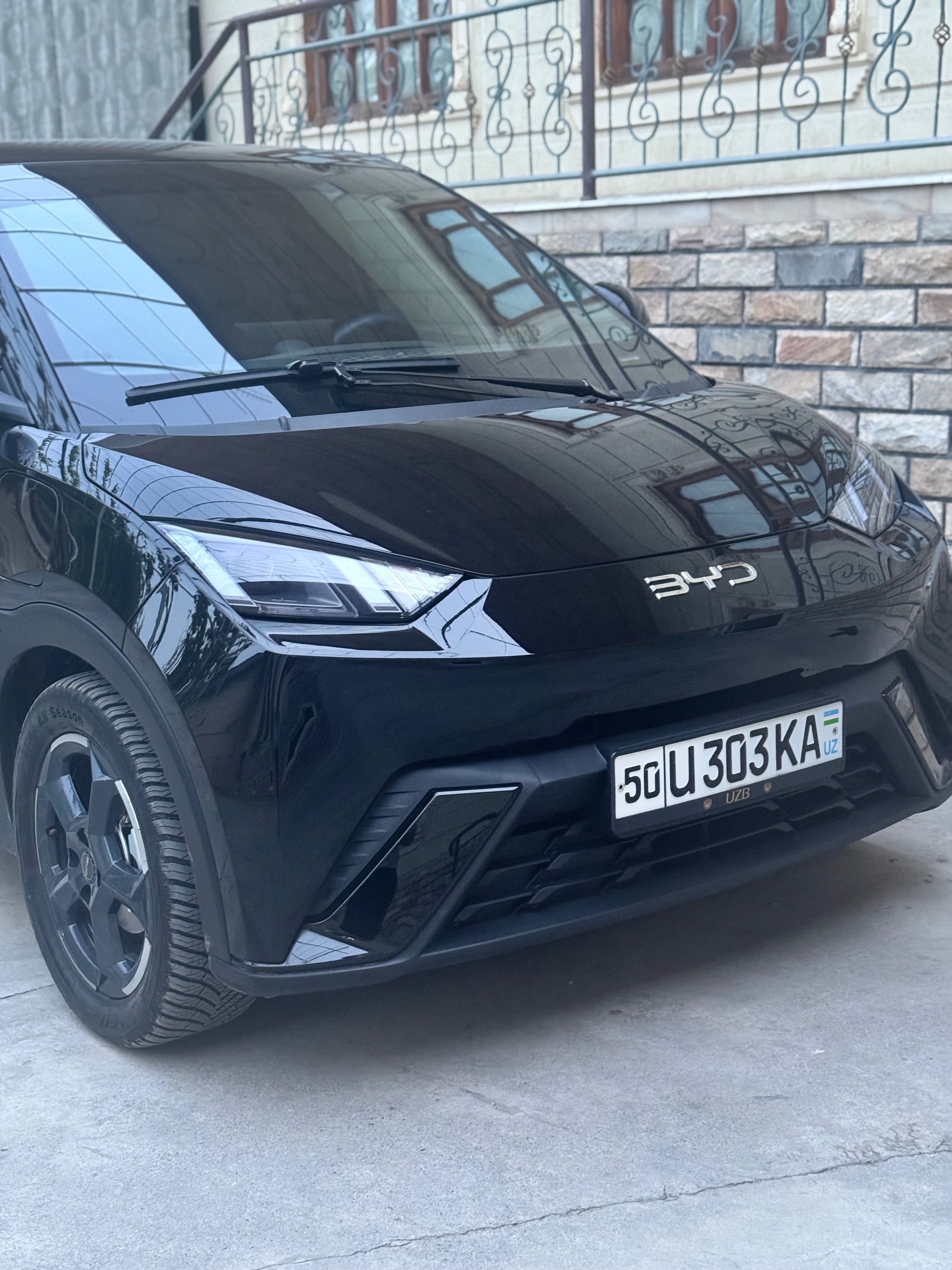 Byd Seagull sotiladi