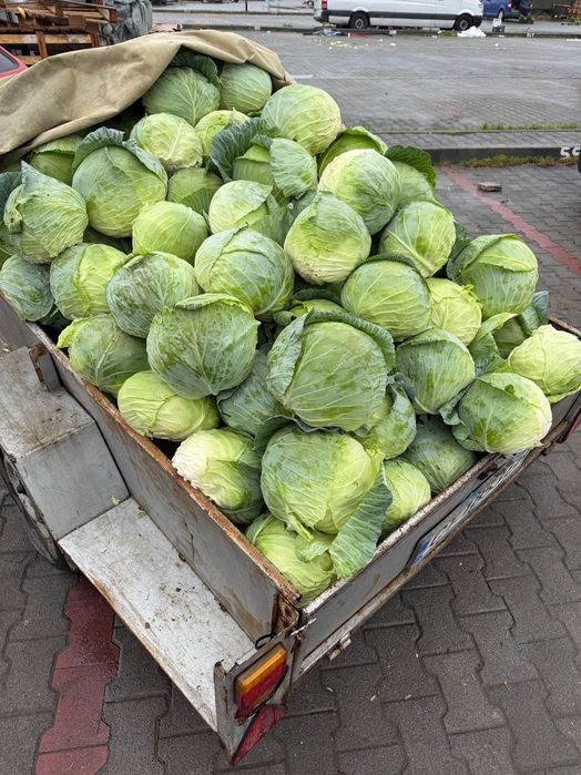 Зеле директно от производител МАРЛУ