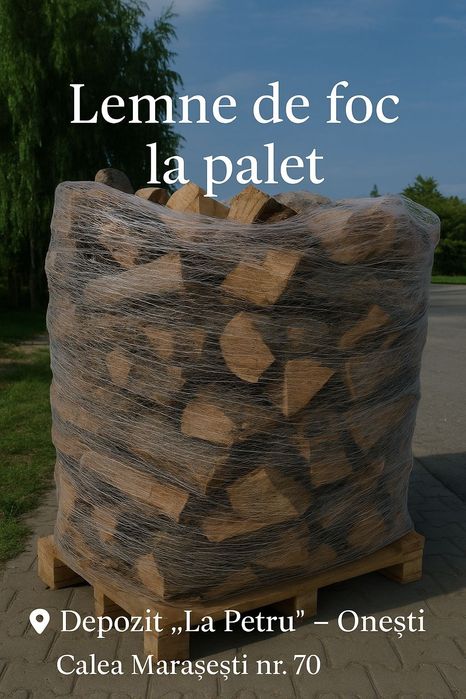 Lemn foc esenta tare