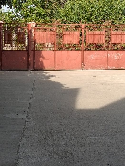 Porți auto și  una pietonala