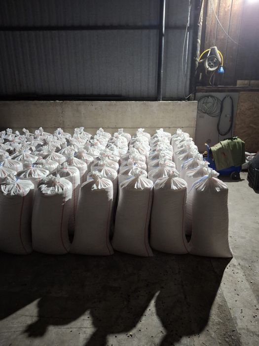 Porumb boabe 2025 cereale boabe