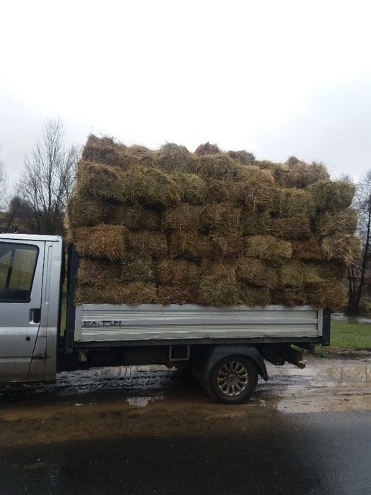 Vand baloti de fan  cu transport la domiciliu