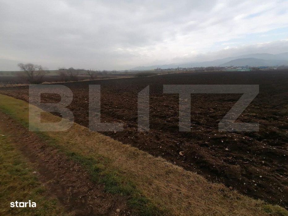 Teren extravilan 21300 mp zona Vintu de Jos