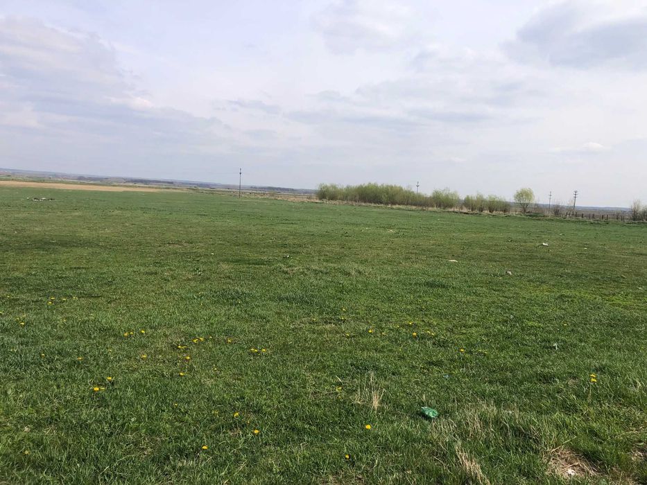 Teren 3000 mp Podari-Livezi