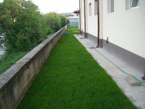 Био Тор за трева - райграс (50л-12лв) 3мм сито