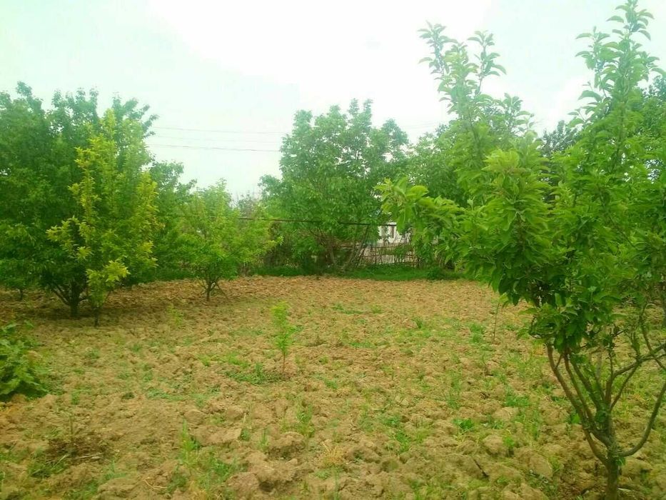 ХОВЛИ СОТИЛАДИ 4 хона 6.8 СОТИК 2ТА УЙ КИЛИШ М\Н Кибрай рн Шарк мф