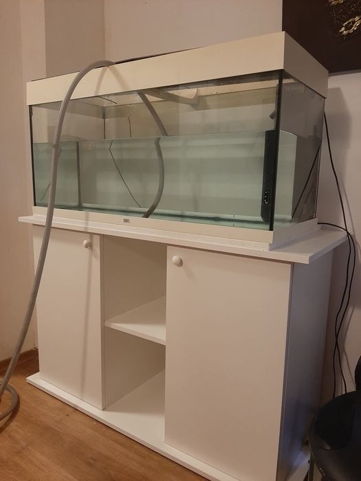 Vând diverse acvarii și pești de acvariu