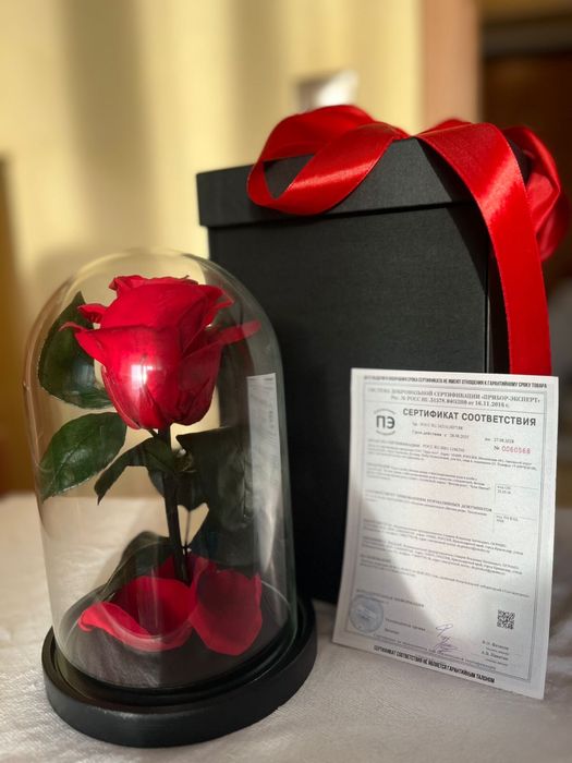 Живая роза в колбе Лучший подарок
